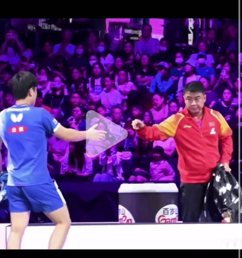 张本智和在 张本智和在