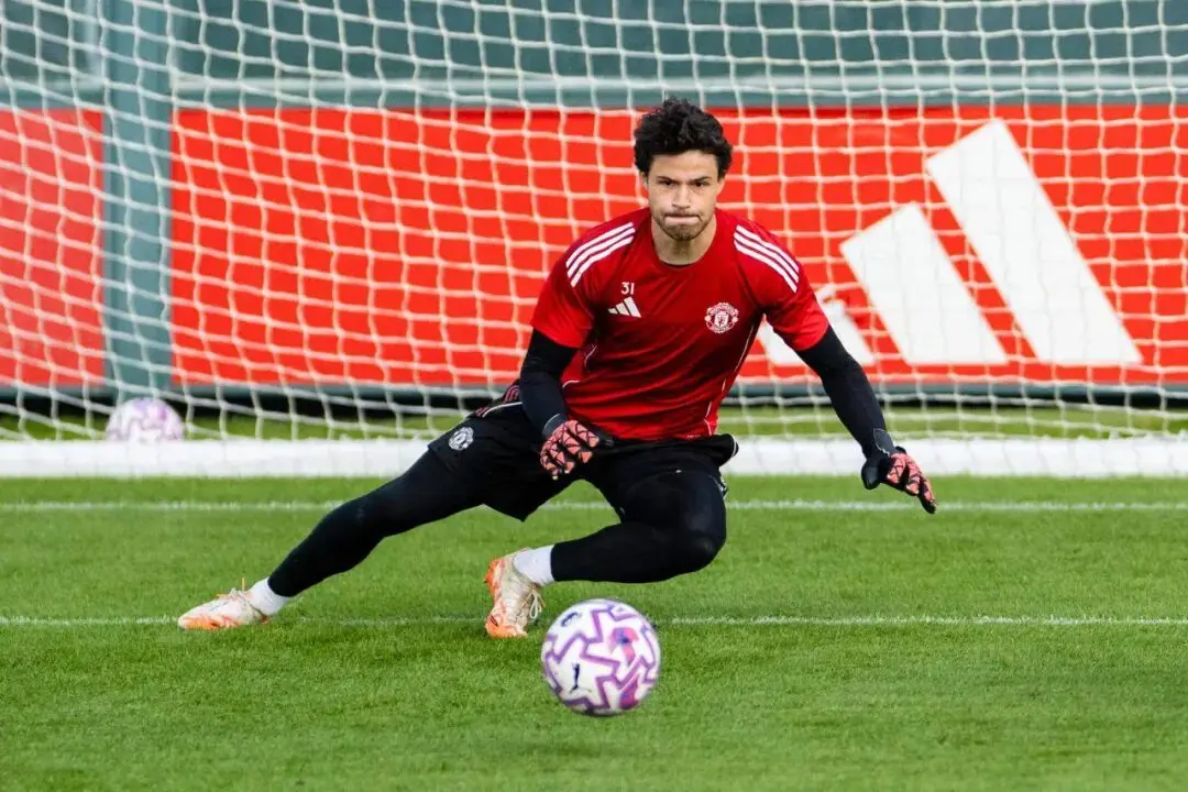 MCS, 阿莫林也需